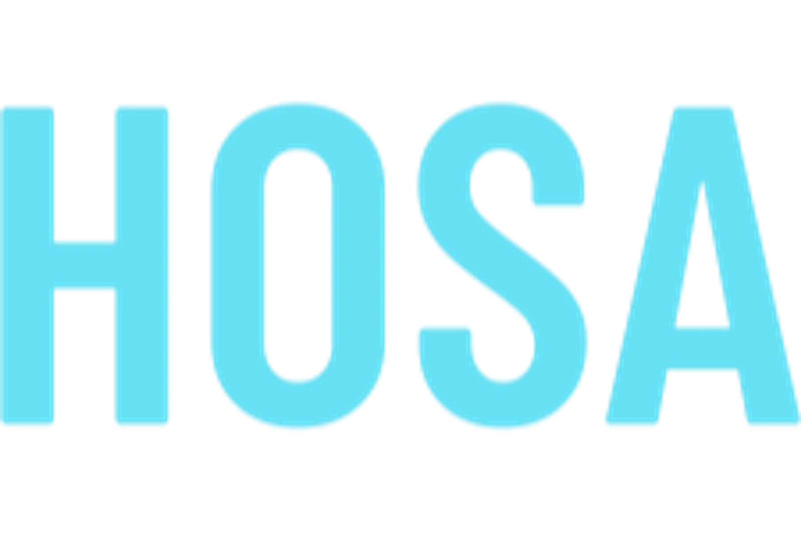 HOSA Goa visual preview