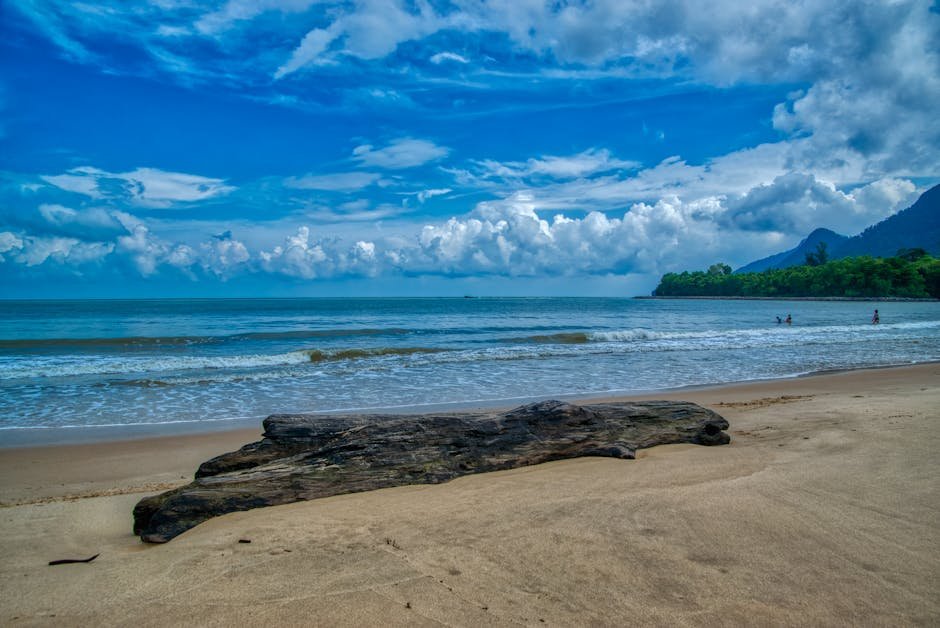 Raveena Tandon confesses she “regrets” turning down Kuch Kuch Hota Hai, ‘Chaiyya Chaiyya’: “You can’t do everything in life” – Bollywood Hungama