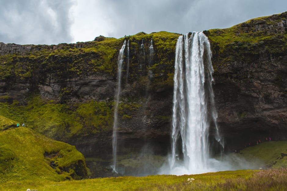 ‘Need more sambandh’: Iceland PM draws attention to ‘purely Icelandic word’ with PM Modi on stage at Nord – The Times of India: What You Need To Know
