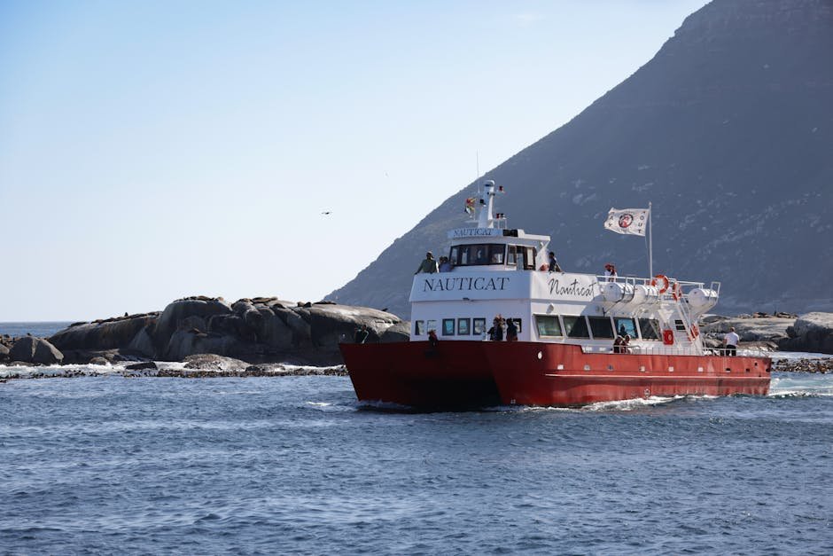 Three dead after suspected hantavirus hits polar cruise near Cape Verde – India Today